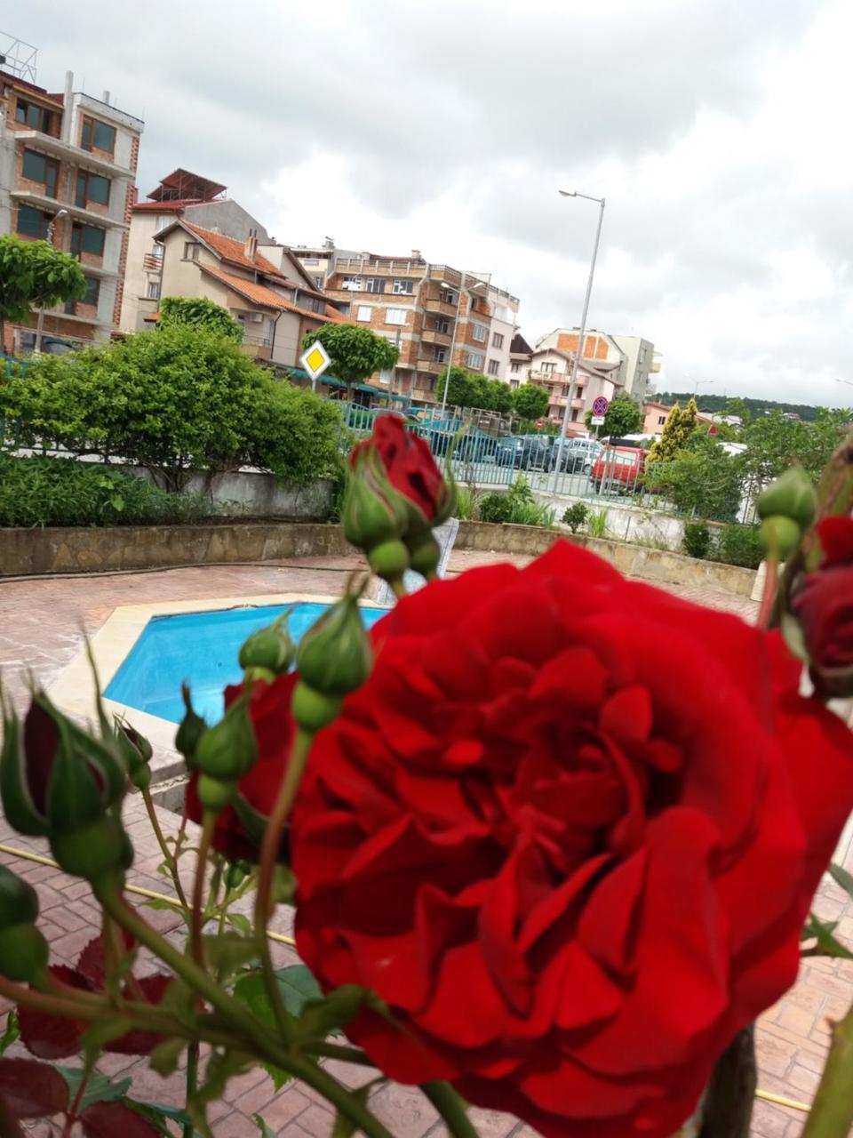 Alba Family Club Hotel Primorsko Exterior foto