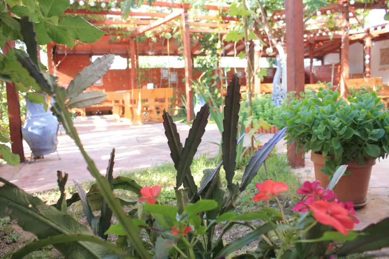 Alba Family Club Hotel Primorsko Exterior foto